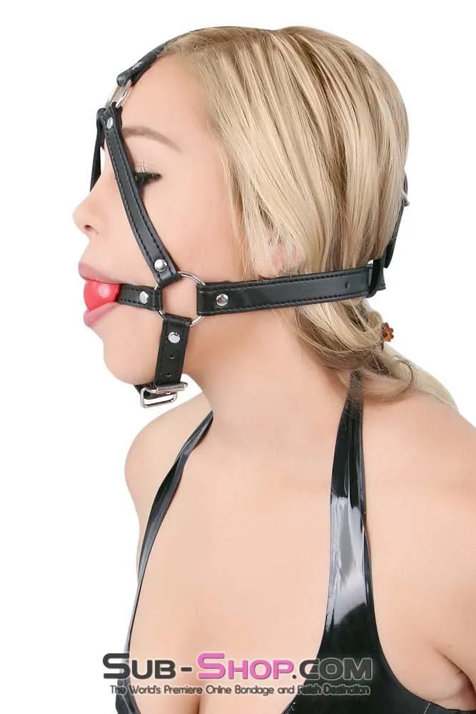 8993DL      Red Rubber Ballgag Bondage Trainer