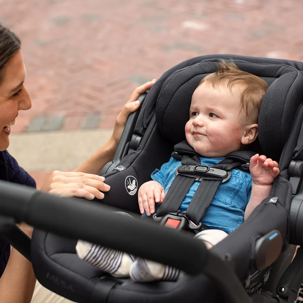 Cruz V2 Stroller   Mesa V2 Infant Car Seat