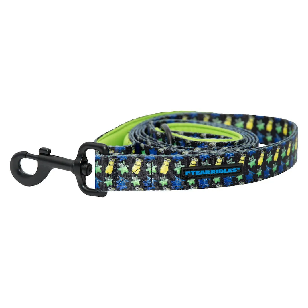 Dog Leash