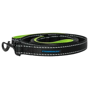 Dog Leash