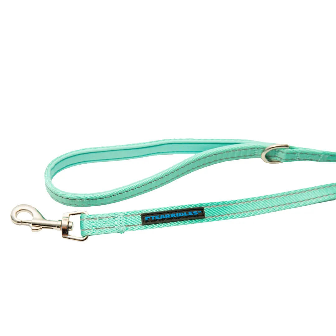 Dog Leash