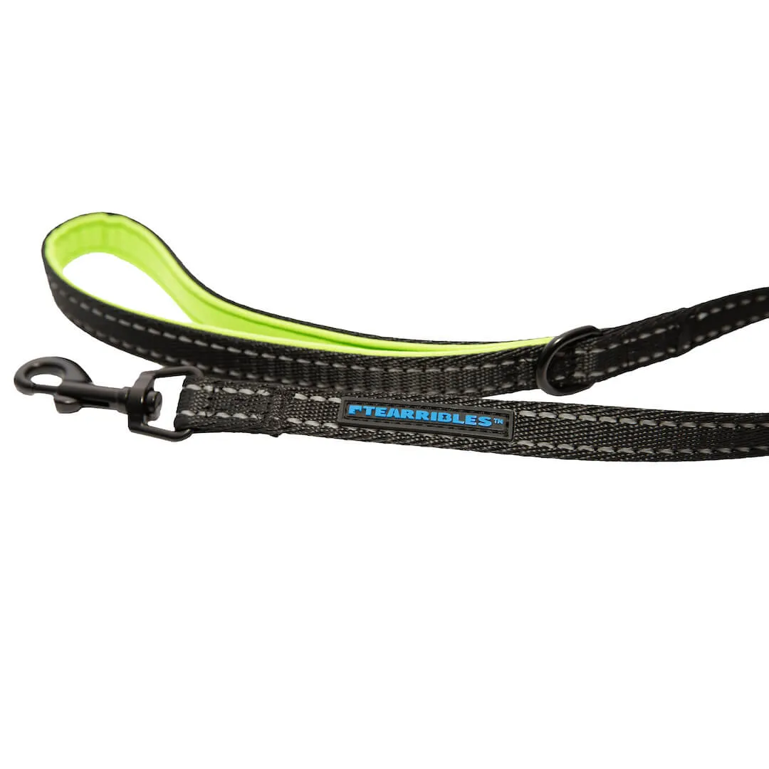 Dog Leash