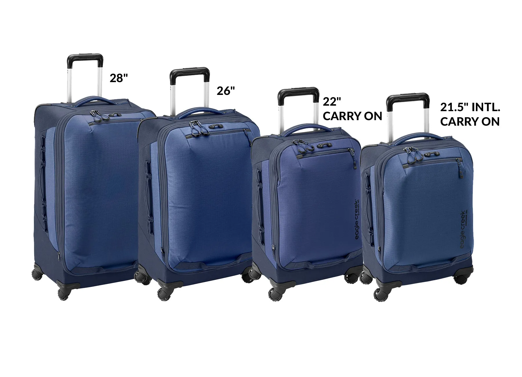Expanse 4-Wheel 22" Carry-On Luggage