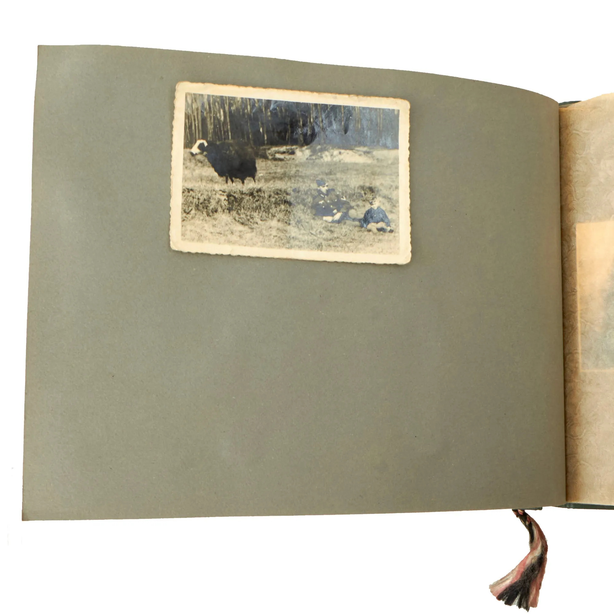 Original German WWII Named KIA Heer Army 12th Machine Gun Company 37th Infantry Regiment Photo Album - 55 Photos - Killed in Greece 1941
