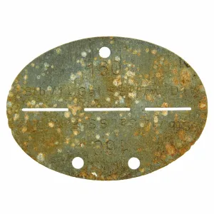 Original German WWII SS Identity Disc Dog Tag - 14th Waffen Grenadier 1st SS Galician Division - No. 160