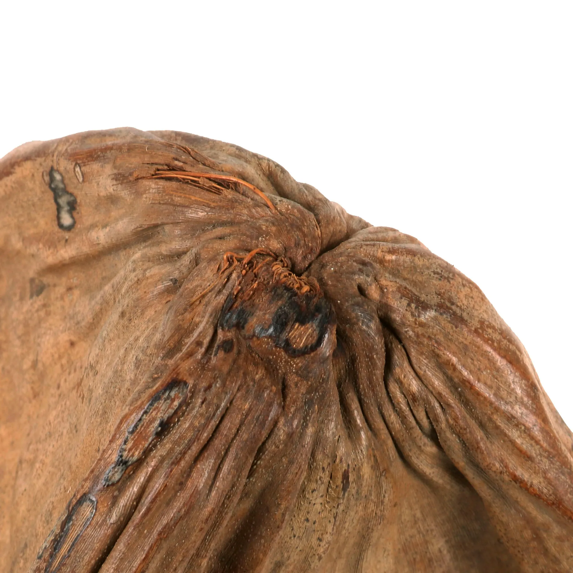 Original U.S. WWII USMC 3rd Marine Division Souvenir Coconut Sent Home with Mailing Label
