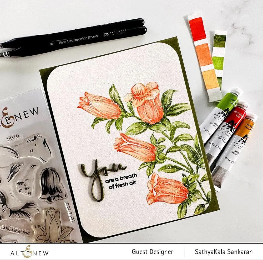 Watercolor Essentials Deluxe Bundle